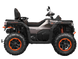 Terrox 1000 Квадроцикл GOES 9068 фото 2