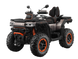 Terrox 1000 Квадроцикл GOES 9068 фото 1
