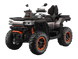 Terrox 1000 Квадроцикл GOES 9068 фото 1