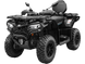CFORCE 520 L Квадроцикл CFMOTO  9017 фото 1