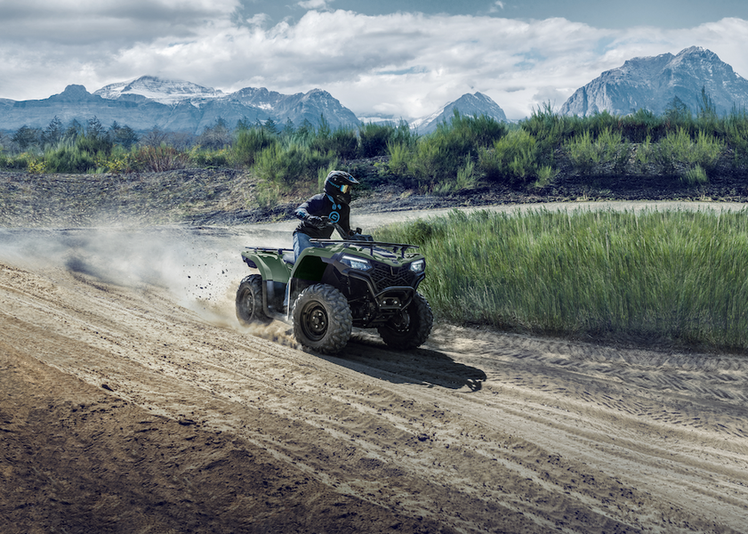 CFORCE 450 L Квадроцикл CFMOTO  9023 фото