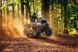 Outlander XT-P 1000R T ABS SAS (2027) Квадроцикл Can-Am 27CAOXTP1000RSAS-NVY фото 3