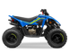 CFORCE 110 Квадроцикл CFMOTO  9056 фото 2