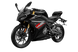 250SR Мотоцикл CFMOTO  1009 фото 1